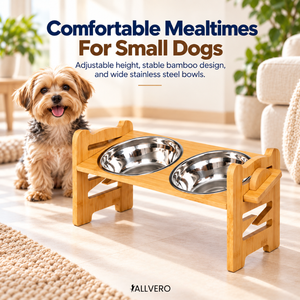 Allvero™ Comfort Dining Set
