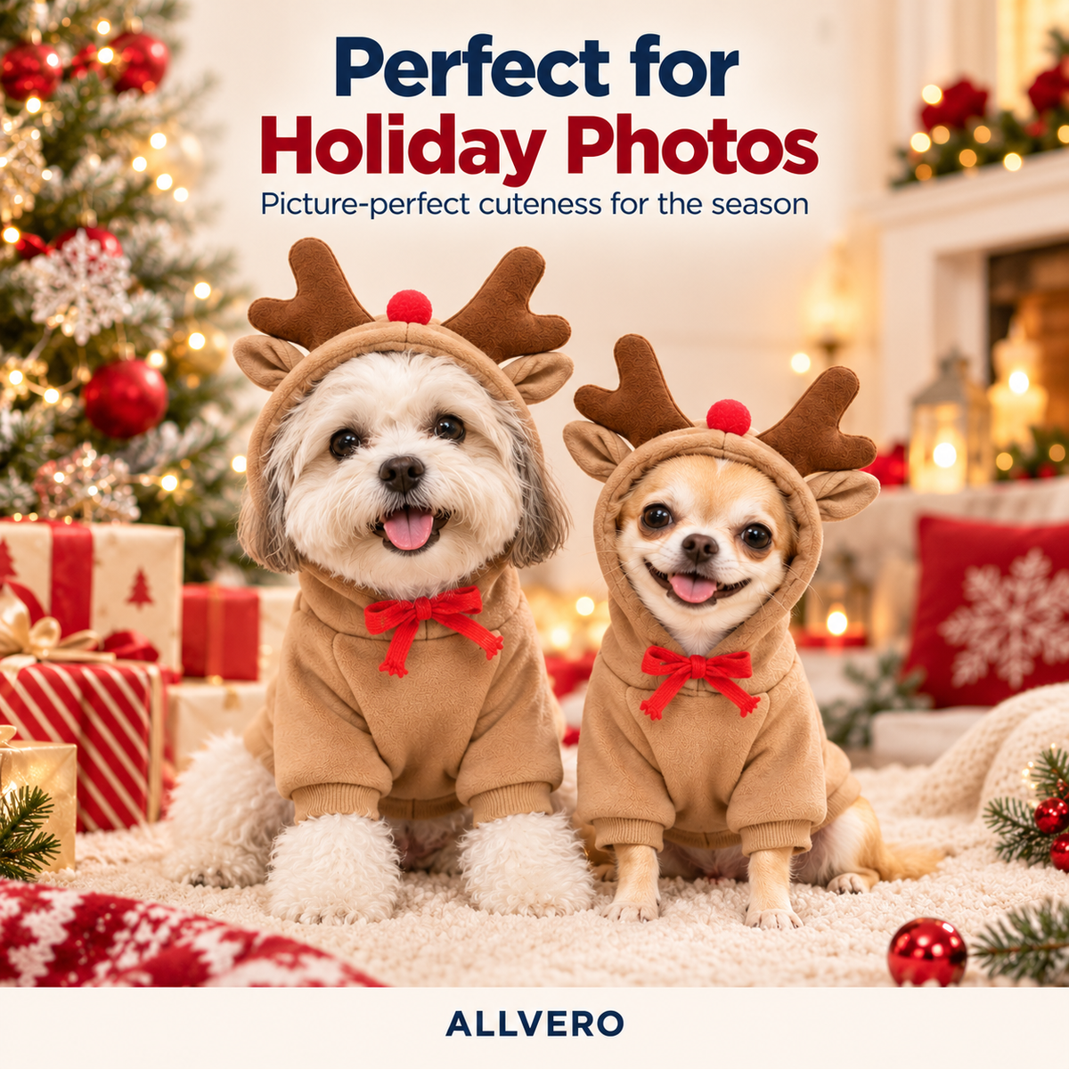 Allvero Cozy Rudolph Hoodie