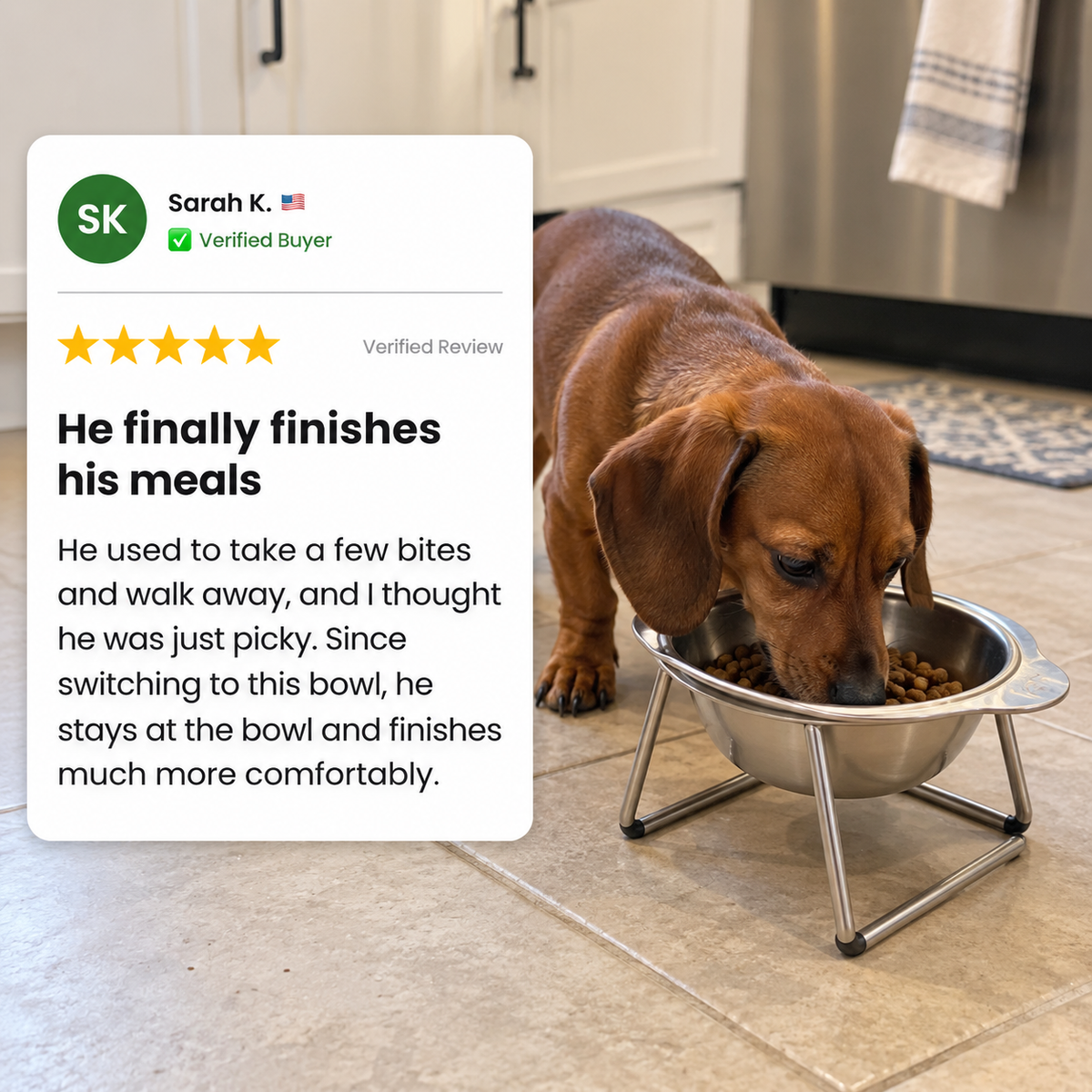 Allvero Orthopaedic Dog Feeder