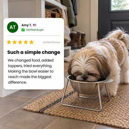 Allvero Orthopaedic Dog Feeder