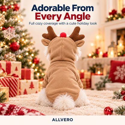 Allvero Cozy Rudolph Hoodie